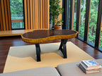 Wooden coffee table in a room with large windows and a plant