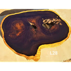 Leadwood Slice (37.40" x 30.31" x 3.54")