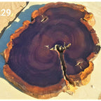 Leadwood Slice (31.50" x 27.56" x 2.76")