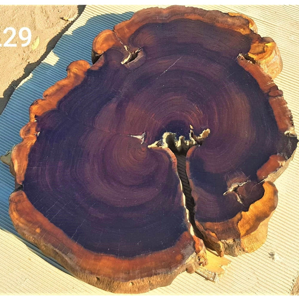 Leadwood Slice (31.50" x 27.56" x 2.76")