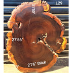 Leadwood Slice (31.50" x 27.56" x 2.76")