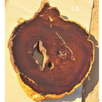 Leadwood Slice (33.07" x 31.50" x 3.54")
