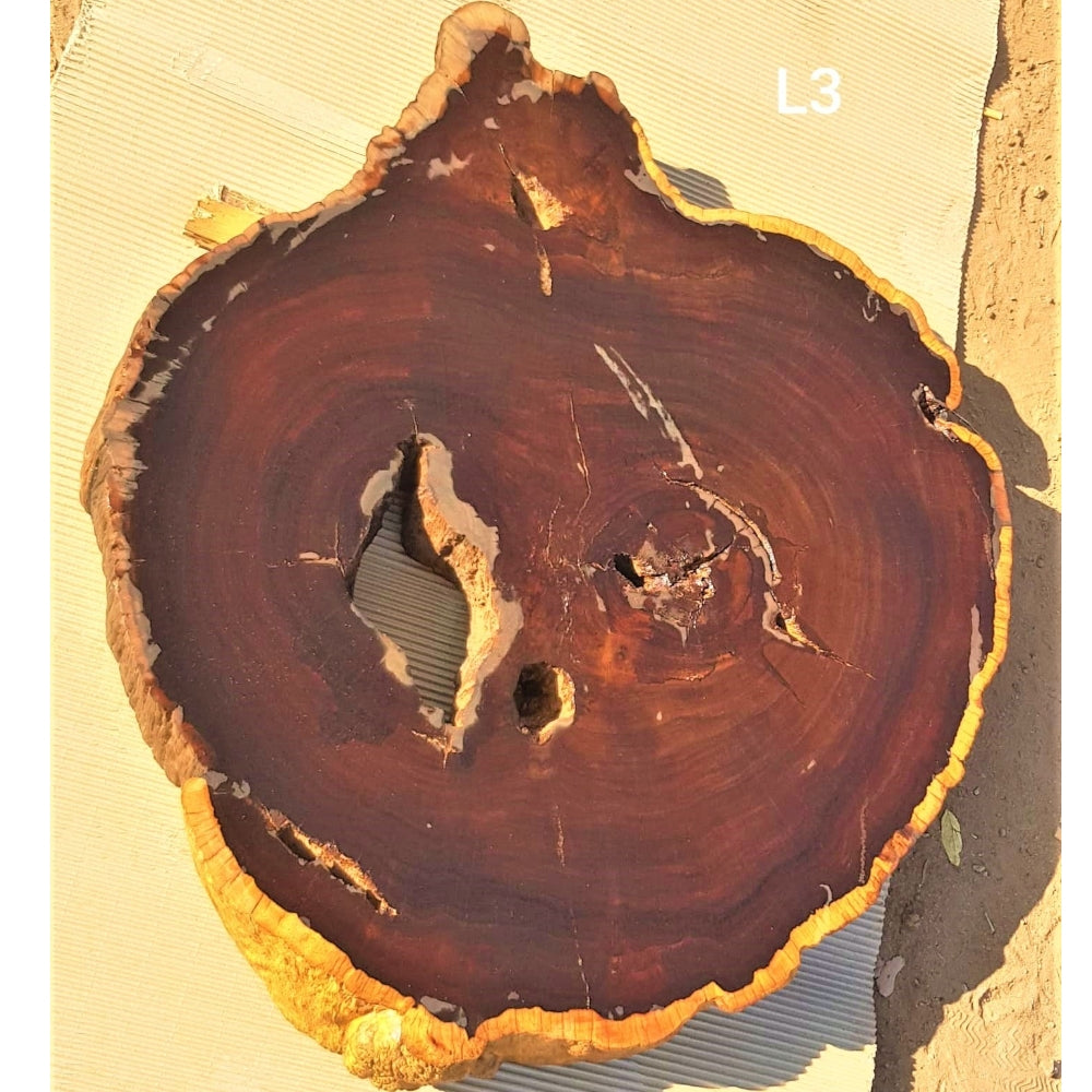 Leadwood Slice (33.07" x 31.50" x 3.54")
