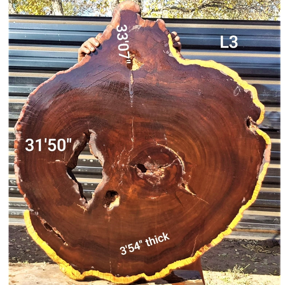 Leadwood Slice (33.07" x 31.50" x 3.54")