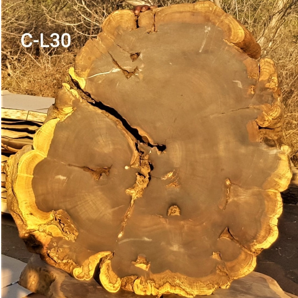 Leadwood Slice (31.50" x 29.92" x 2.76")