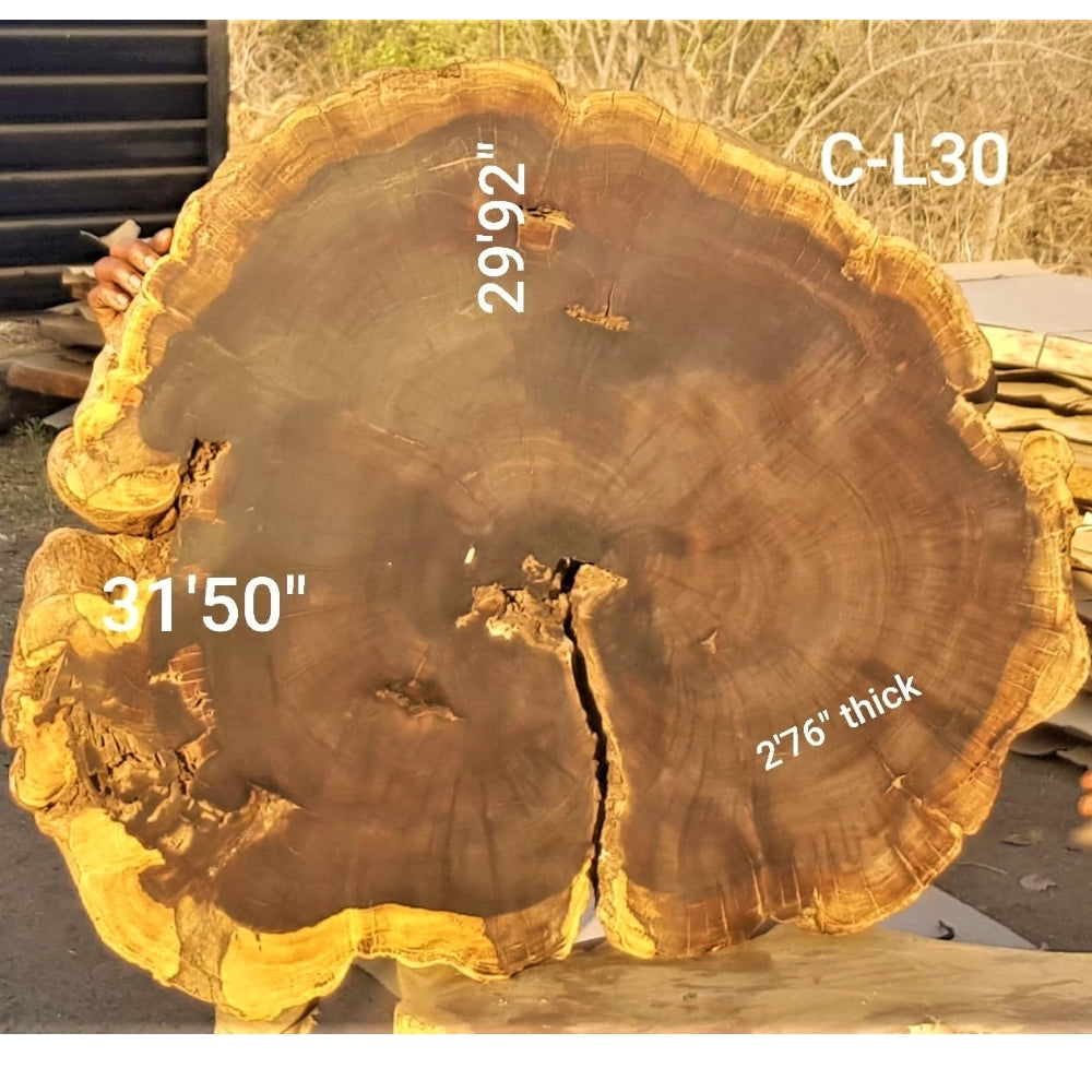 Leadwood Slice (31.50" x 29.92" x 2.76")