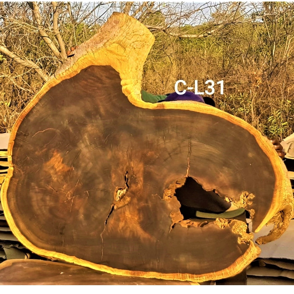 Leadwood Slice (40.55" x 35.83" x 3.54")