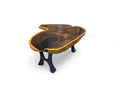 Monumental Leadwood Live Edge Coffee Table (40.55" x 35.83" x 3.54") with "H Base"