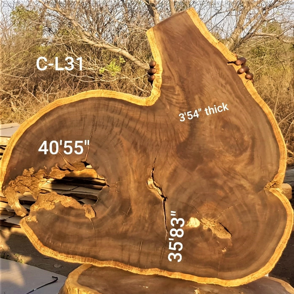 Leadwood Slice (40.55" x 35.83" x 3.54")