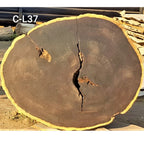 Leadwood Slice (37.40" x 31.10" x 3.15")