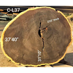 Leadwood Slice (37.40" x 31.10" x 3.15")
