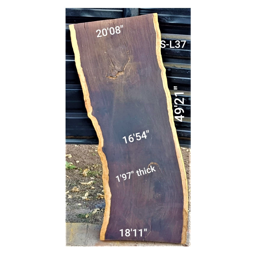 Leadwood Slab (49.21" x 20.08" x 1.97")