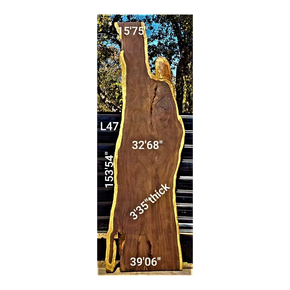 Leadwood Slab (153.54" x 39.06" x 3.35")
