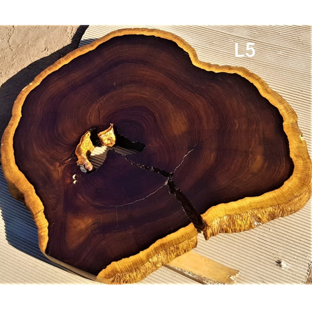 Leadwood Slice (30.31" x 33.86" x 2.76")