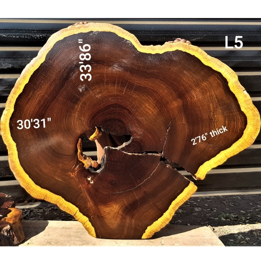Leadwood Slice (30.31" x 33.86" x 2.76")
