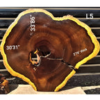 Leadwood Slice (30.31" x 33.86" x 2.76")