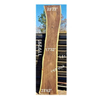 Leadwood Slab (119.29" x 23.62" x 1.97")