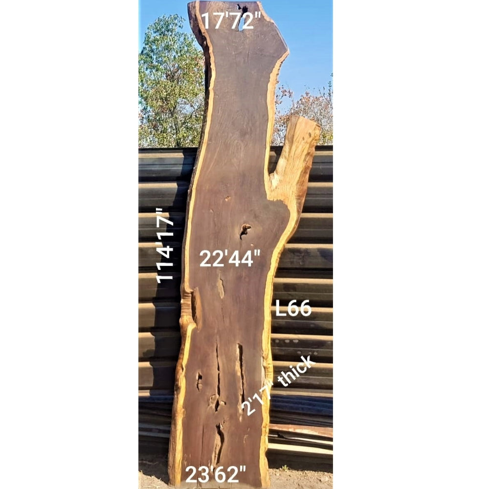 Leadwood Slab (114.17" x 23.62" x 2.17")
