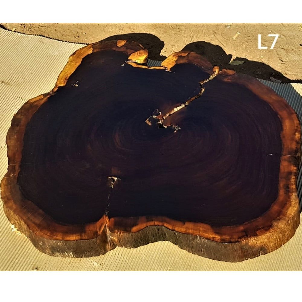 Leadwood Slice (31'50" x 28.74" x 2.76")