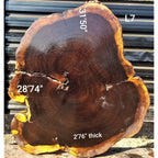 Leadwood Slice (31'50" x 28.74" x 2.76")