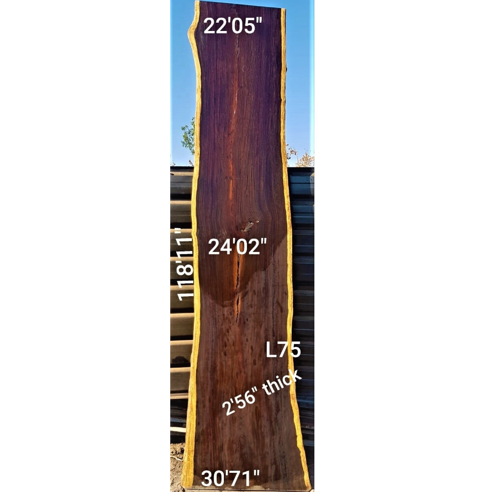 Leadwood Slab (118.11" x 30.71" x 2.56")