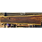 Leadwood Slab (114.96" x 32.28" x 2.56")