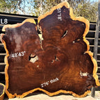 Leadwood Slice (51.18" x 48.43" x 2.76")