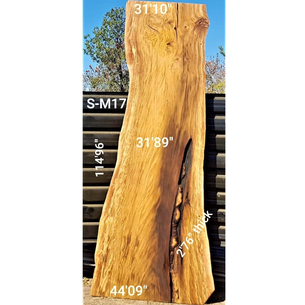 Matumi Slab (114.96" x 44.09" x 2.76")