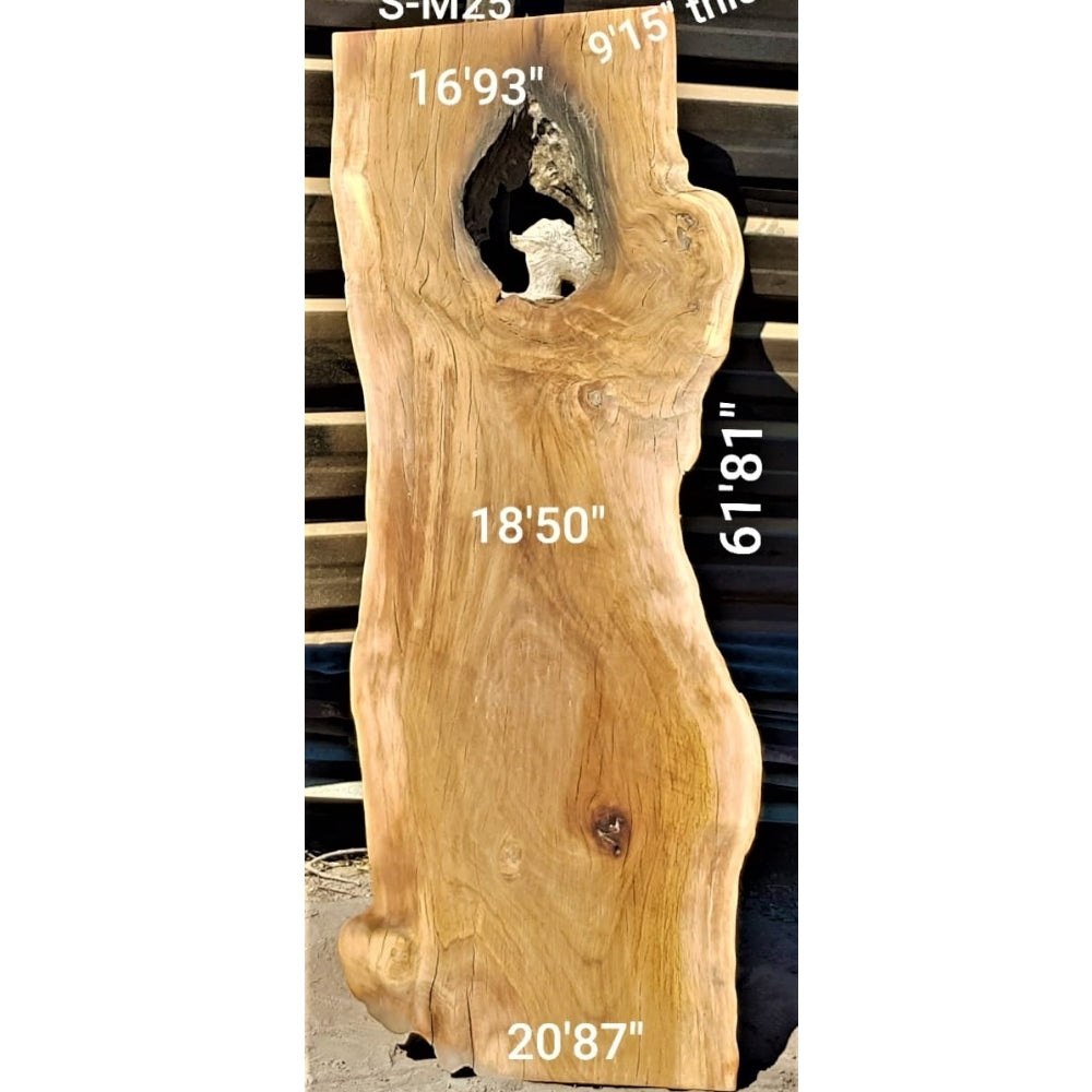 Matumi Slab (61.81" x 20.87" x 9.15")