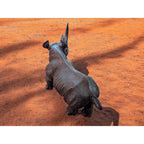 Hand-Carved 16" Ironwood Rhinoceros Carving