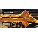 Pink Ivory Slab (121.26" x 55.12" x 2.17")