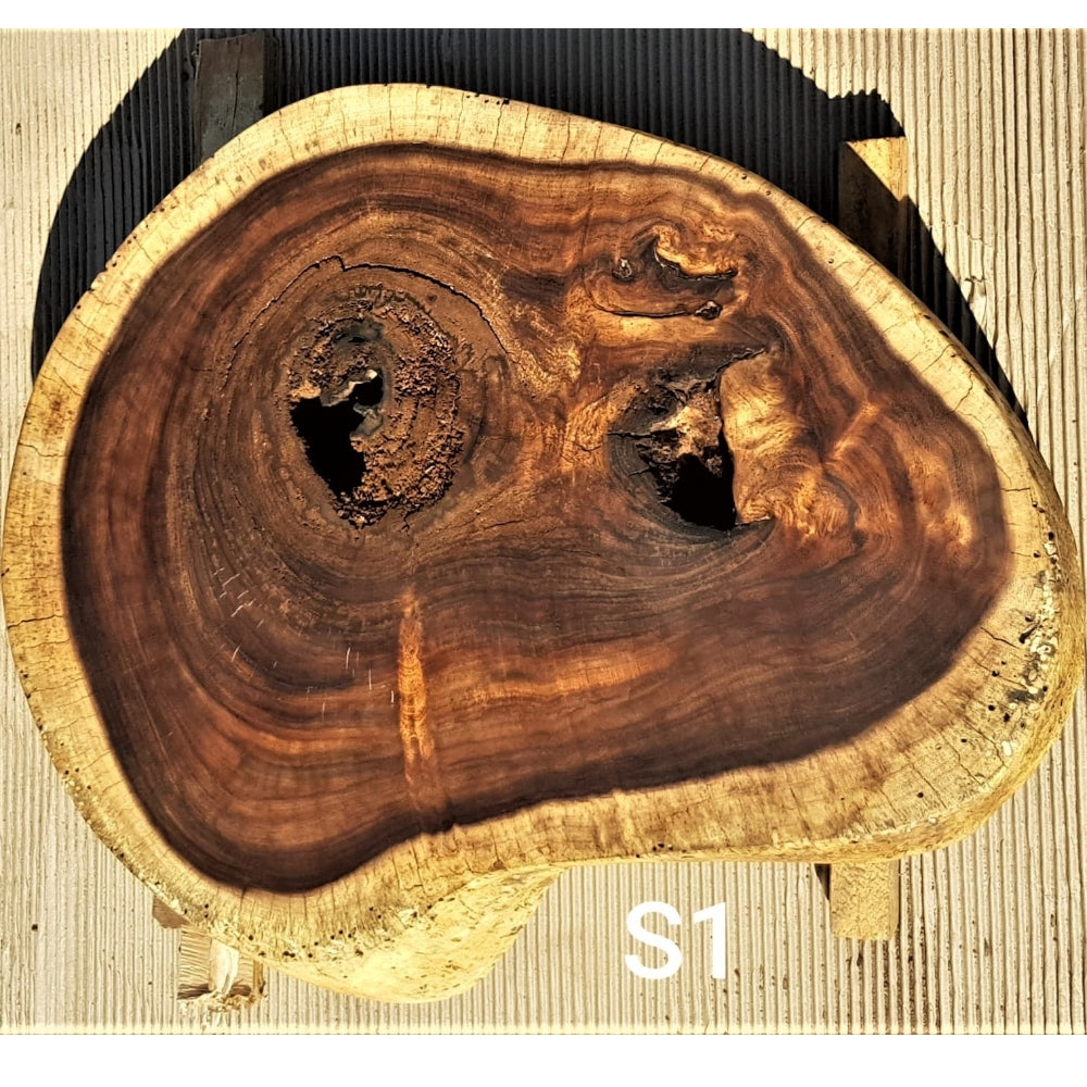 Sandkiaat Slice (18.90" x 25.98" x 3.74")