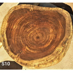 Sandkiaat Slice (27.95" x 25.20" x 3.35")