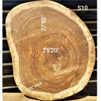 Sandkiaat Slice (27.95" x 25.20" x 3.35")