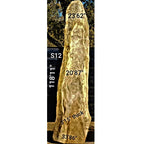 Sandkiaat Slab (118.11" x 33.86" x 3.15")
