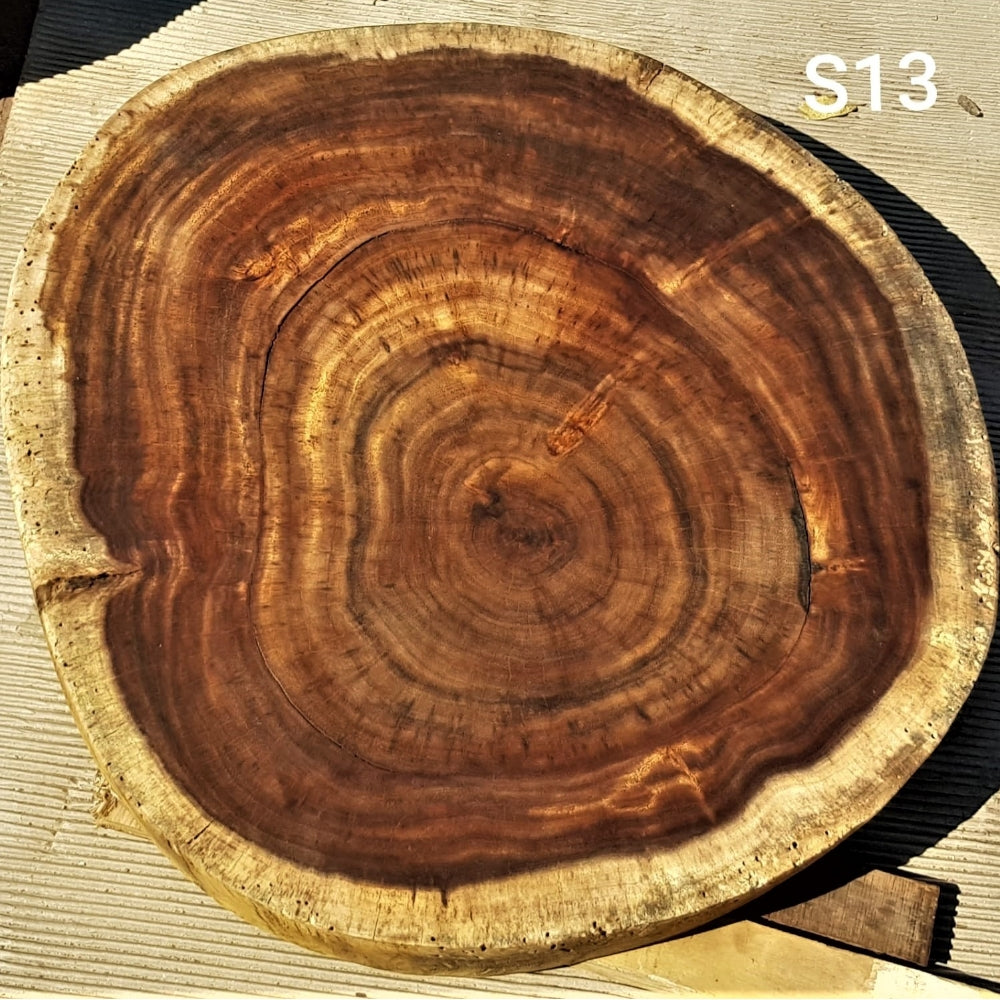 Sandkiaat Slice (29.13" x 29.92" 3.35")