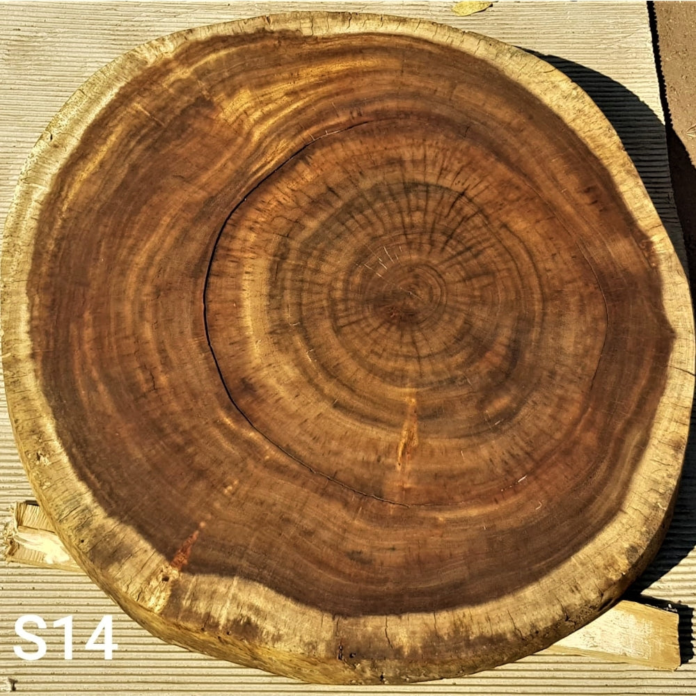 Sandkiaat Slice (28.35" x 30.31" x 3.54")