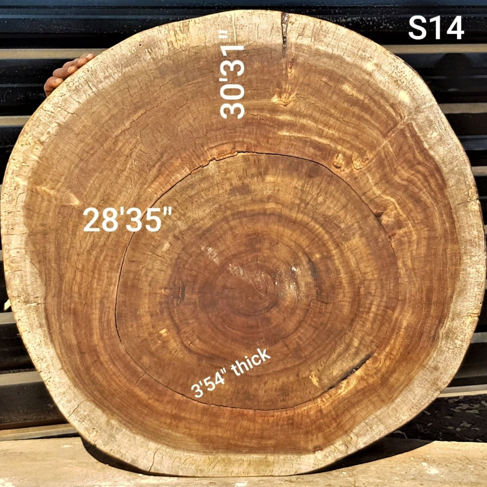 Sandkiaat Slice (28.35" x 30.31" x 3.54")