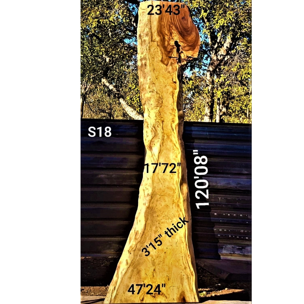 Sandkiaat Slab (120.08" x 47.24" x 3.15")