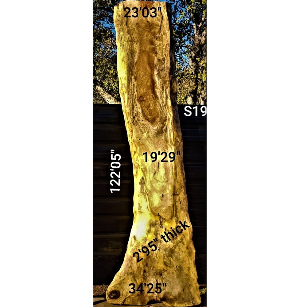 Sandkiaat Slab (122.05" x 34.25" x 2.95")