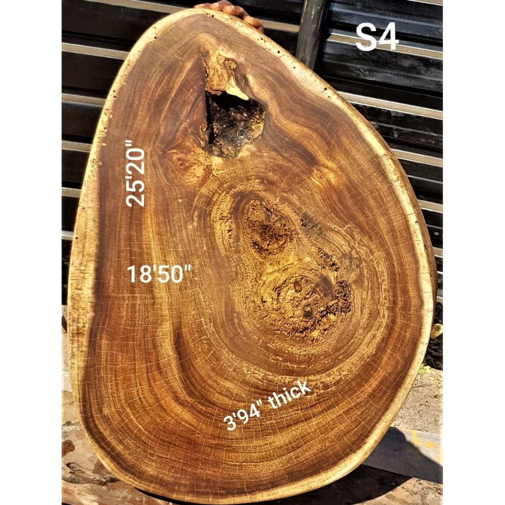 Sandkiaat Slice (18.50" x 25.20" x 3.94")