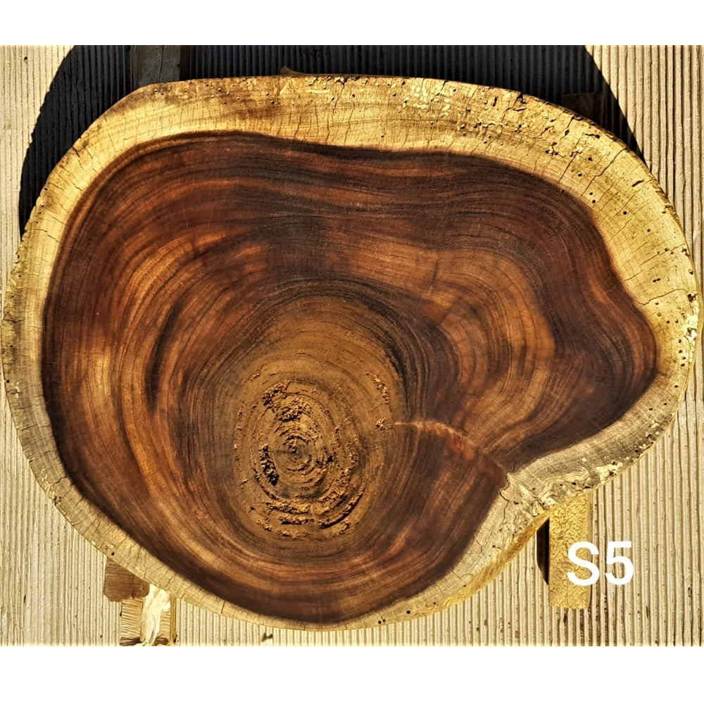 Sandkiaat Slice (19.69" x 25.98" x 3.94")