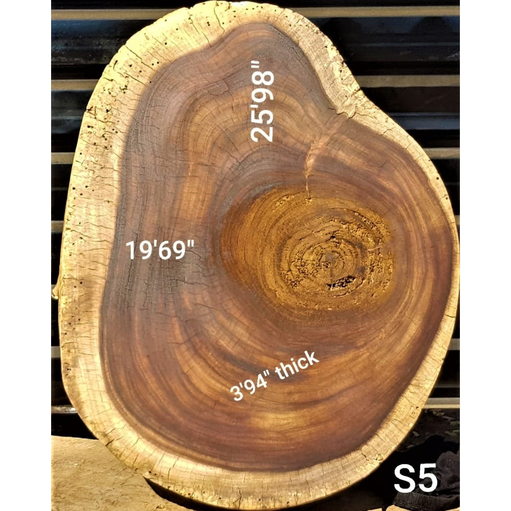 Sandkiaat Slice (19.69" x 25.98" x 3.94")