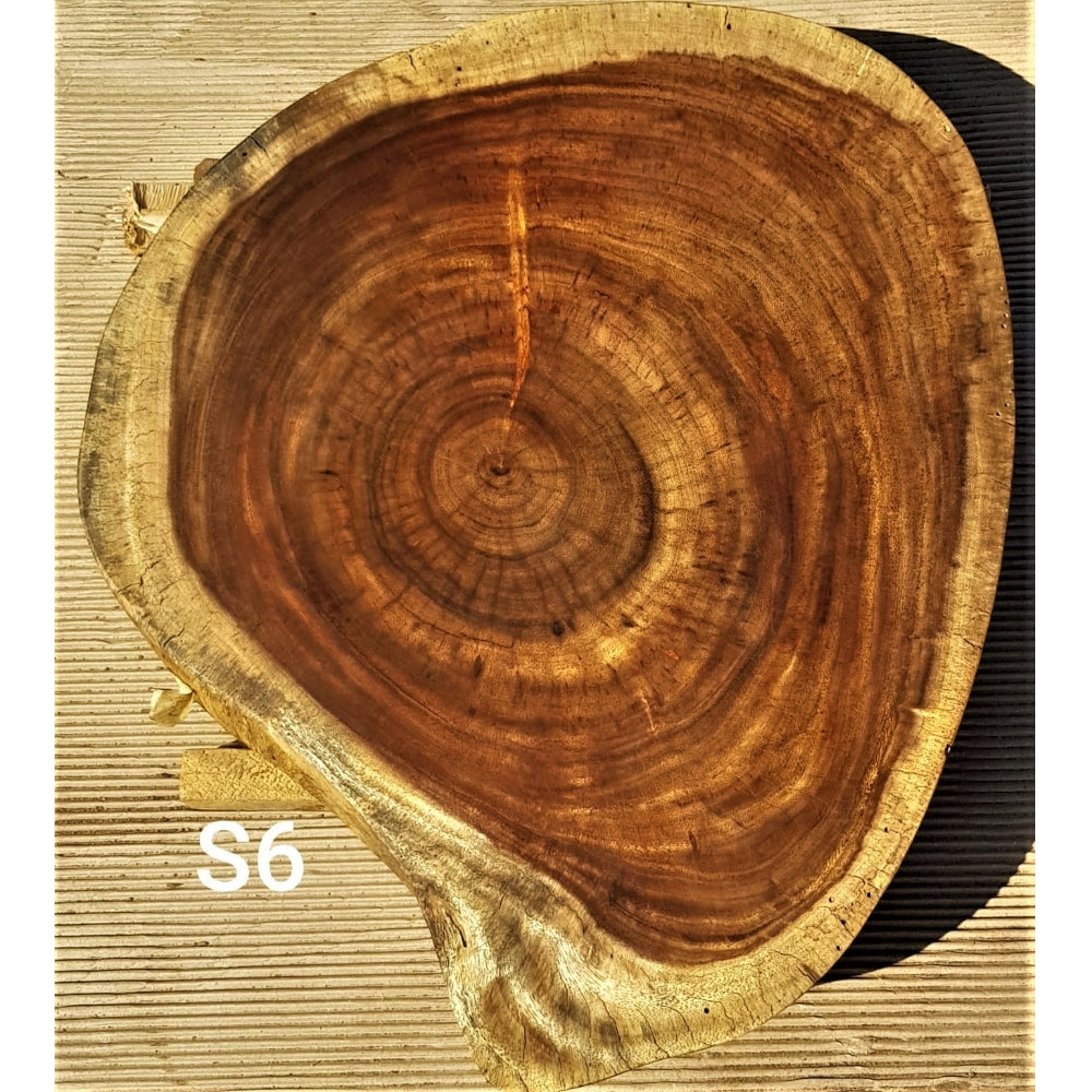 Sandkiaat Slice (24.41" x 29.92" x 3.35")