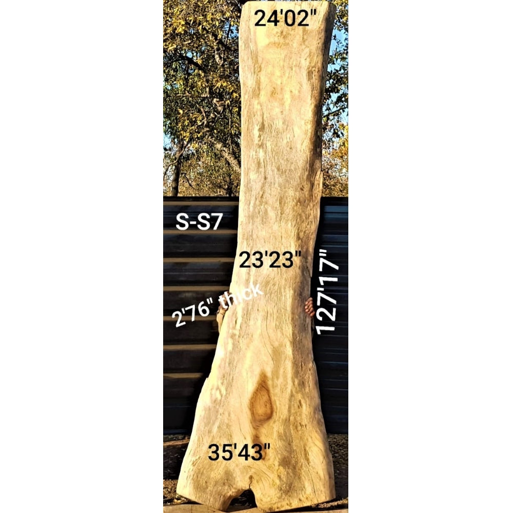 Sandkiaat Slab (127.17" x 35.43" x 2.76")