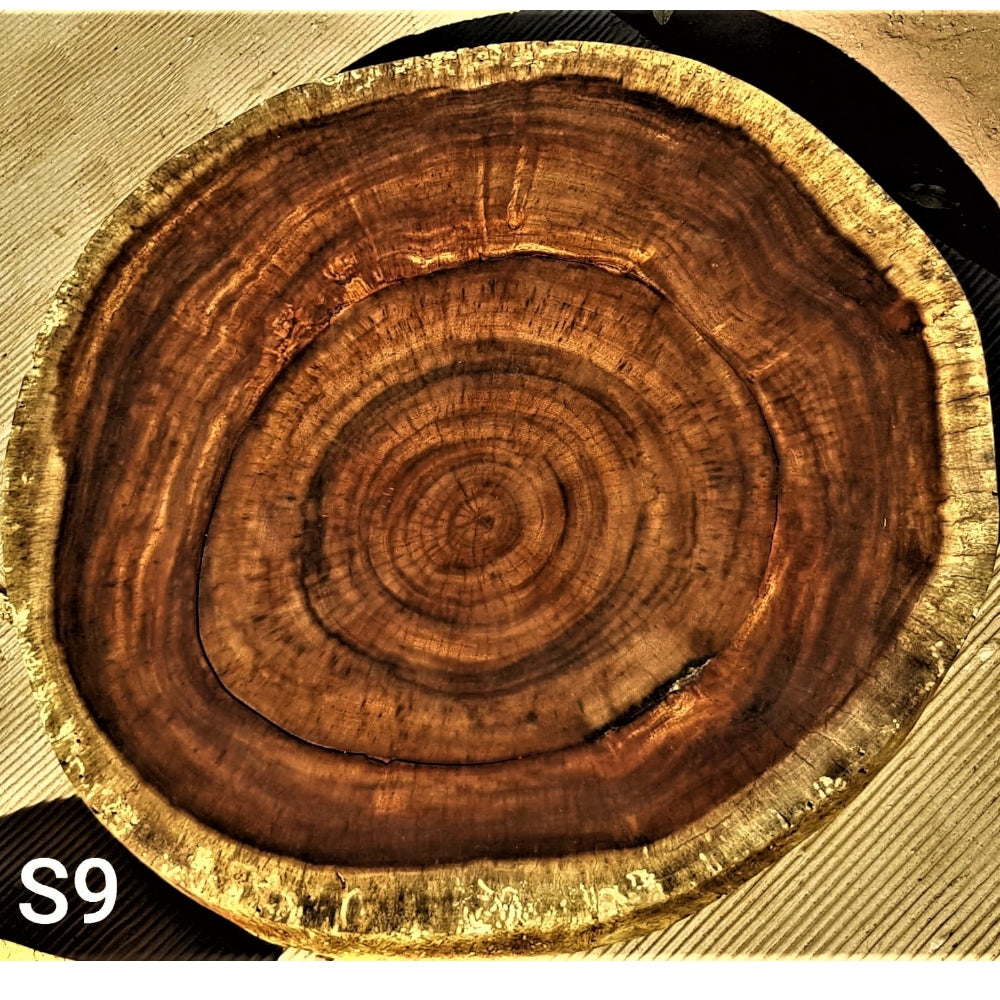 Sandkiaat Slice (28.74" x 28.35" x 3.54")