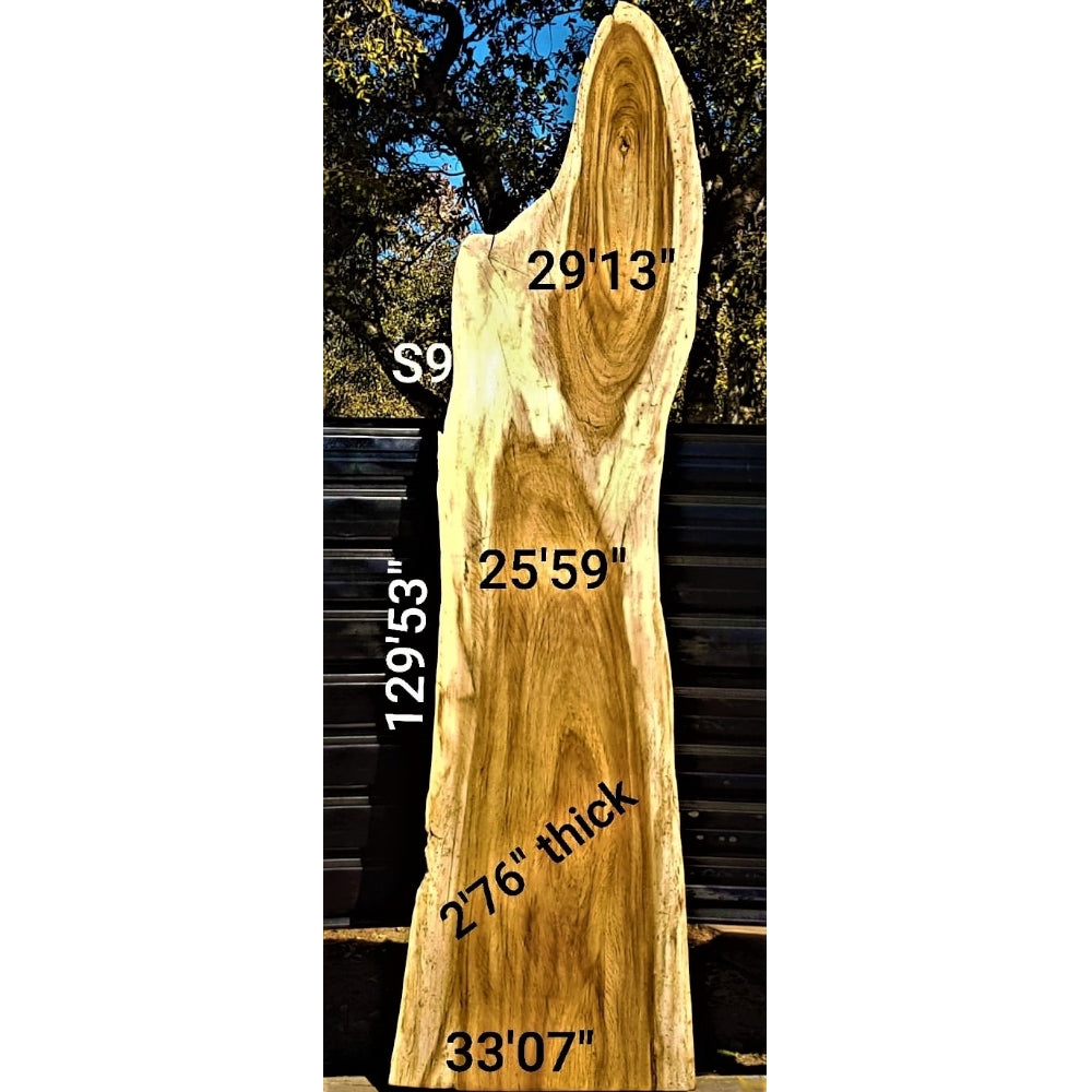 Sandkiaat Slab (129.53" x 33.07" x 2.76")