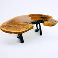 Exotic African Live Edge Brown Ivory Coffee Table (52" x 34")