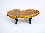 Exotic African Live Edge Brown Ivory Coffee Table (52" x 34")