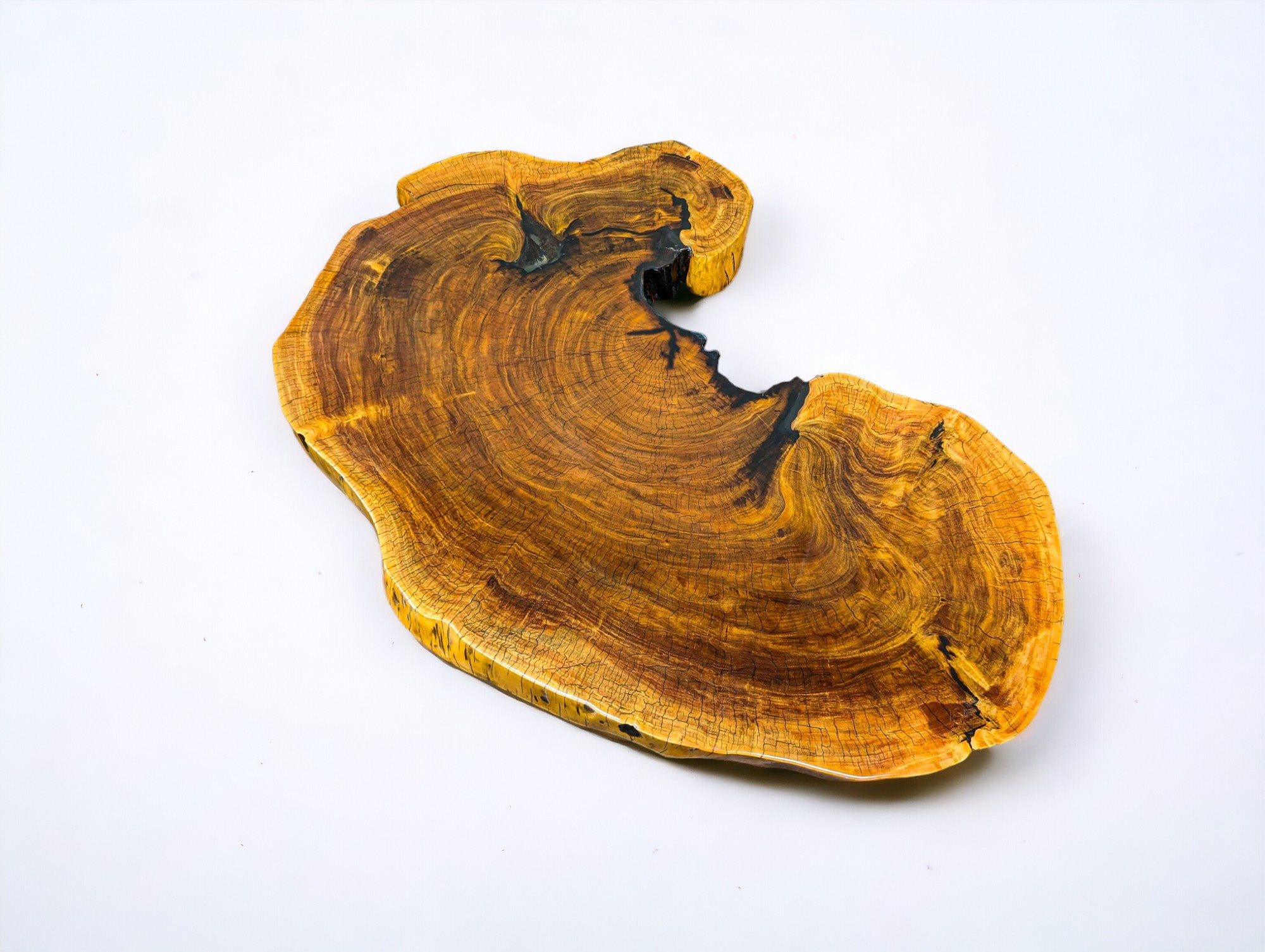 Exotic African Live Edge Brown Ivory Coffee Table (52" x 34")